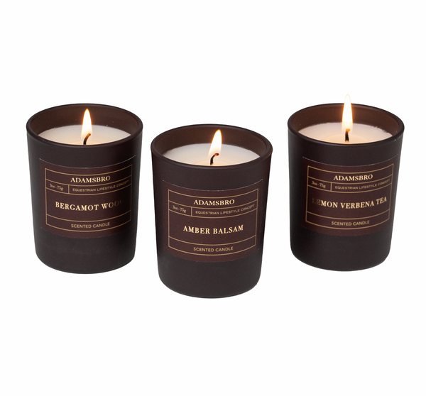 Scented Candle Gift set of 3